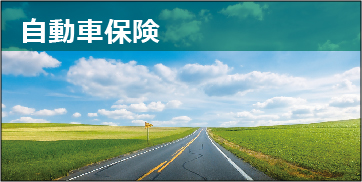 自動車保険